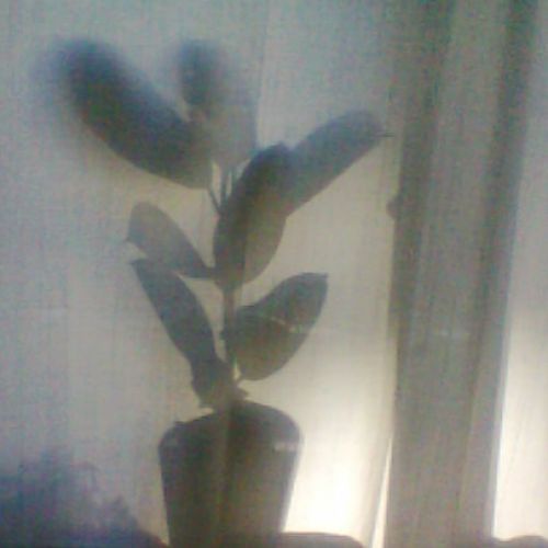 tumblr_mtjfvmCkdm1qasqopo1_500