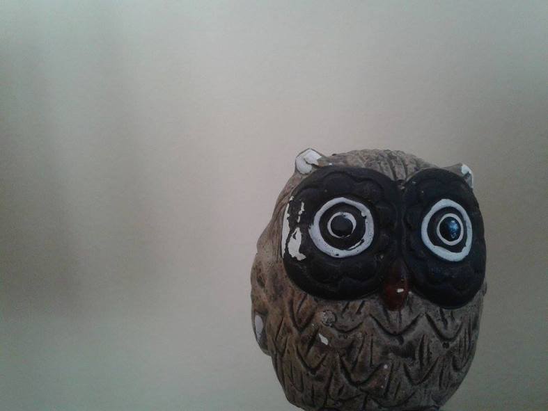 10614016_10204712208915791_1807421323_n