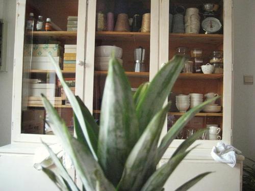 tumblr_l9oivyH2nn1qdobgyo1_500