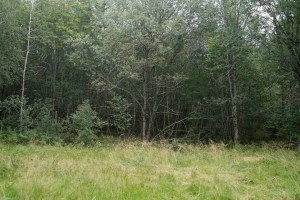 tumblr_nax2q7rbqK1qb0z57o1_1280