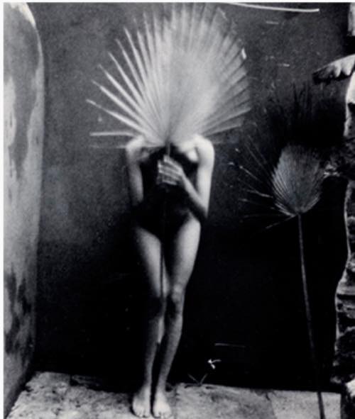 230052_698462760236795_9010386476712161894_n