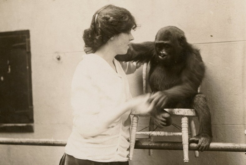 DjunaBarnesWithGorillaAtBronxZoo+1914+UniversityOfMaryland Libraries