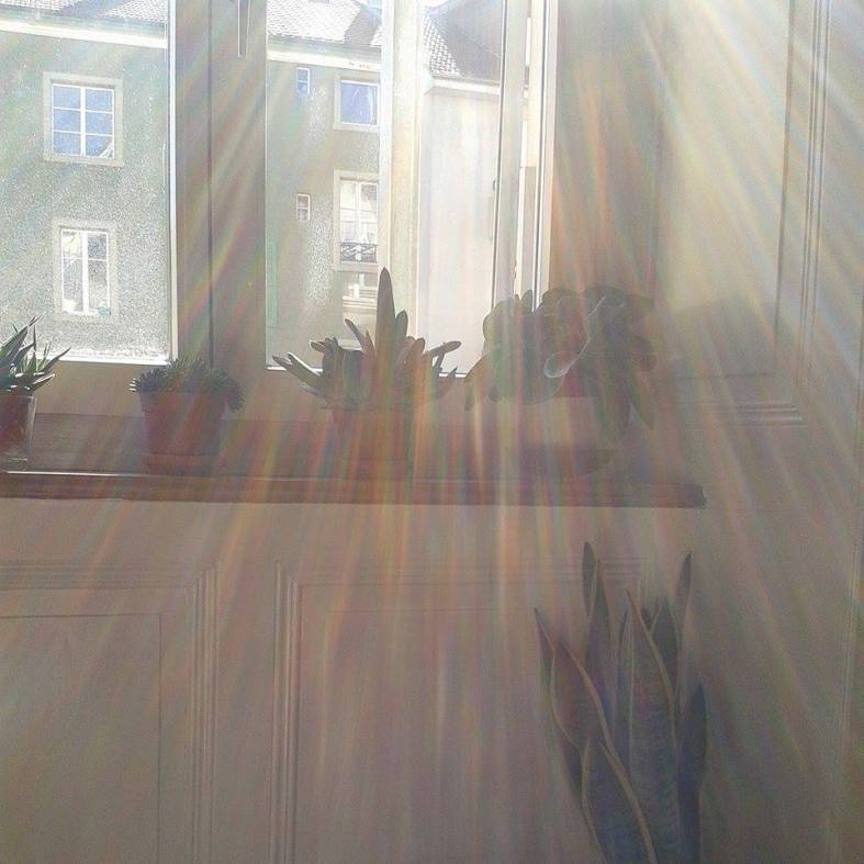 10957785_10205960752488600_1846350568_n