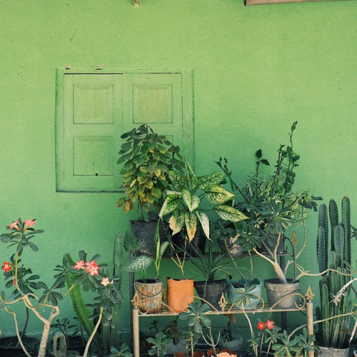 tumblr_newh7lC7fz1qh7fooo1_500