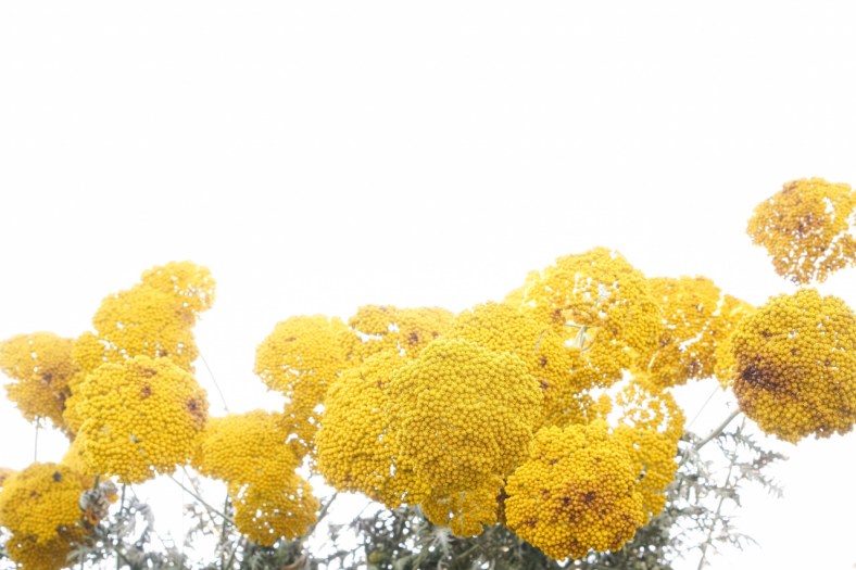 tumblr_nrddqzTFW91tr5u7xo1_1280