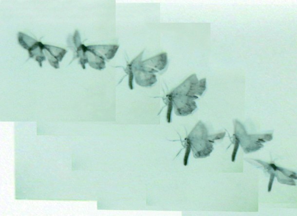 tumblr_ma501m7LJH1qahy1wo1_1280