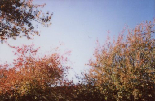 tumblr_lbkungqh5X1qdobgyo1_500