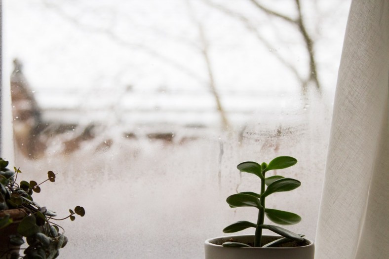 tumblr_o23mma2Ije1rgktkgo1_1280