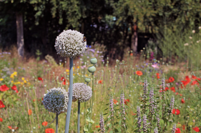 tumblr_o59uaotDYi1rsjcs1o1_1280