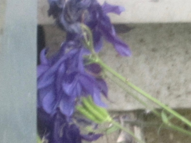 tumblr_o88abtyL5V1smr9mdo1_1280