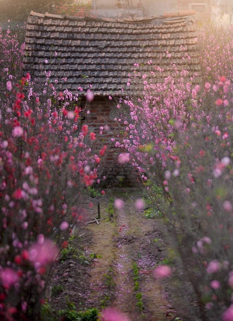 tumblr_oes3rxbldk1uvh3nvo1_1280