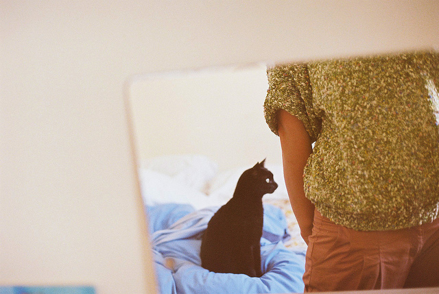 tumblr_mw4zdnmpfo1smry2bo1_1280