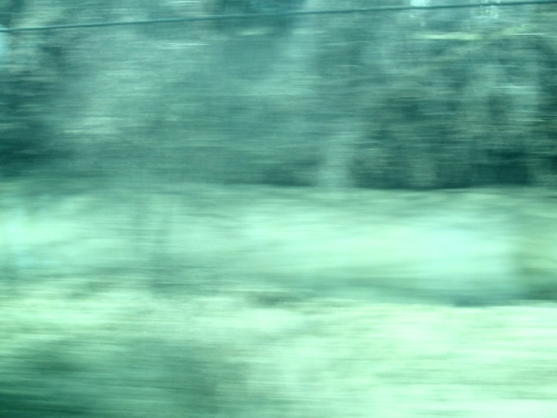 tumblr_okqgycivnf1smr9mdo1_1280